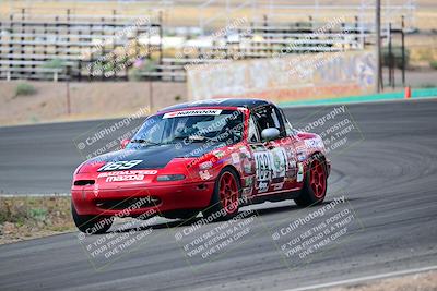 media/May-04-2025-Lucky Dog Racing (Sun) [[21629467aa]]/Turn 4 (10-1045am)/Front/